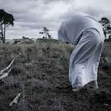 Shallow Pools of Grief