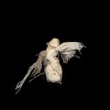 Тело на вынос