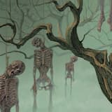 Beneath the Starless Skies