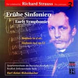 Symphony in D minor, AV 69: Andante maestoso-Allegro