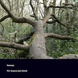 Per Aspera (ad Astra)