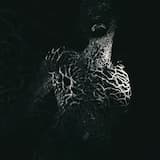 To Flow Through Ashen Hearts