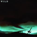 Wild