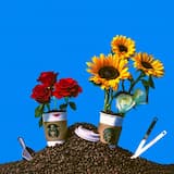 Girl At The Coffee Shop