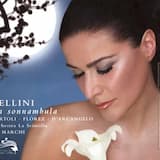 La sonnambula: Atto I. Introduction