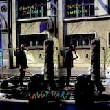 Mauerharfe 1: Aufnahme Bei Mauerblüten, Sommer 1990