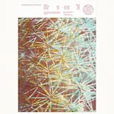 July 14th (Featuring Laraaji)