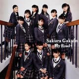 目指せ！スーパーレディー -2017年度-