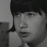 robots will definitely take your job