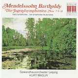 String Symphonie Nr. 7 in D Minor: I. Allegro