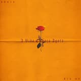 A Vida Começa Agora - Braza & Big Up