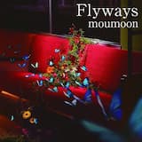 Flyways