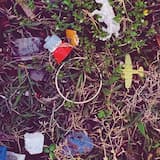 Free as We Wanna Be (acoustic)