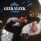 GEEKALEEK