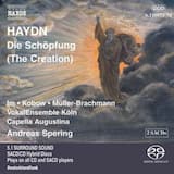 Die Schöpfung, Hob XXI:2: Part I: IV. Accompagnato-Rezitativ: Und Gott machte das Firmament