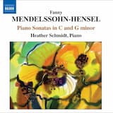 Allegro molto in C minor