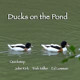 Ducks on the Pond