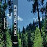 Onset Of Summer (Part 1 Forest)