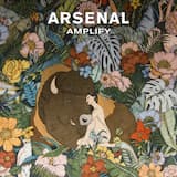 Amplify (radio edit)