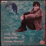 ציד הפרפרים