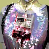 ヅ 窓の光 ❁´◡`❁ ✄———❤