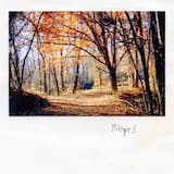 'Met You for the First Time'