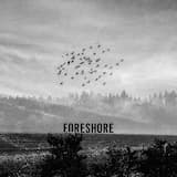 Foreshore