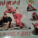 Life Is Like a Dance (extended remix)