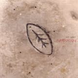 Mercury in the Blood