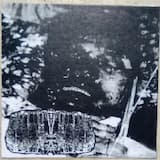 As Fermentation Gives Way To Rot....