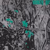 My Forgotten Favorite