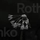 We Will Come Back To Haunt You