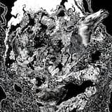 Rubicon (The Fleeting Vessel)