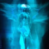 CITY MOB [夜桜] 004