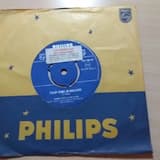 Tulip-Time in Holland