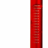 The Future of the Future (Stay Gold)