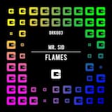 Flames (Extended Mix)