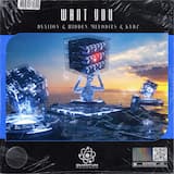 Want You (extended mix)