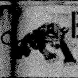 always check their instagram