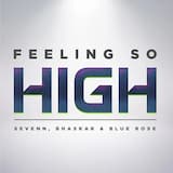 Feeling So High (extended mix)