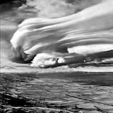 in the shadows of the trees