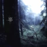 It's a Jungle out there!