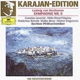 Symphonie Nr. 9 d-Moll, op. 125: I. Allegro ma non troppo, un poco maestoso