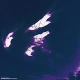 Placebo Effect (feat. красный порезал)