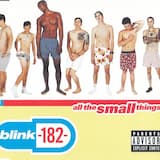 All the Small Things