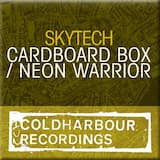 Cardboard Box (Original Mix)