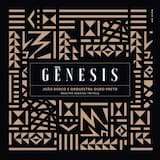 Incompatibilidade de gênios