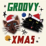 Groovy Xmas