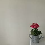 i’m glad we broke up