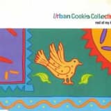 Rest of My Love (Development Corporation 7″)